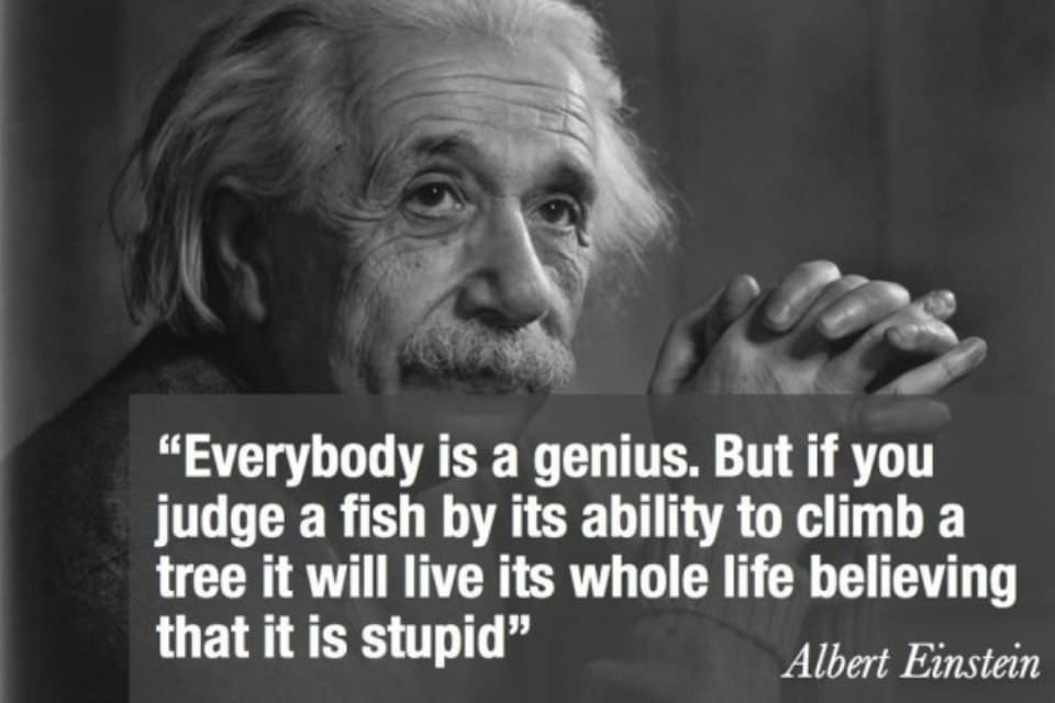 Everybody is a genius. But if we judge a fish by it’s ability to climb a tree, it will live it’s whole life believing that it is stupid. (Albert Einstein)